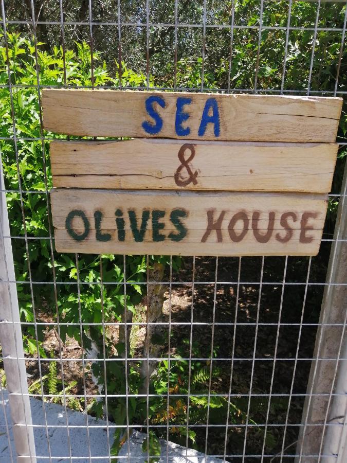 הוילה ליקסורי Sea & Olives House מראה חיצוני תמונה