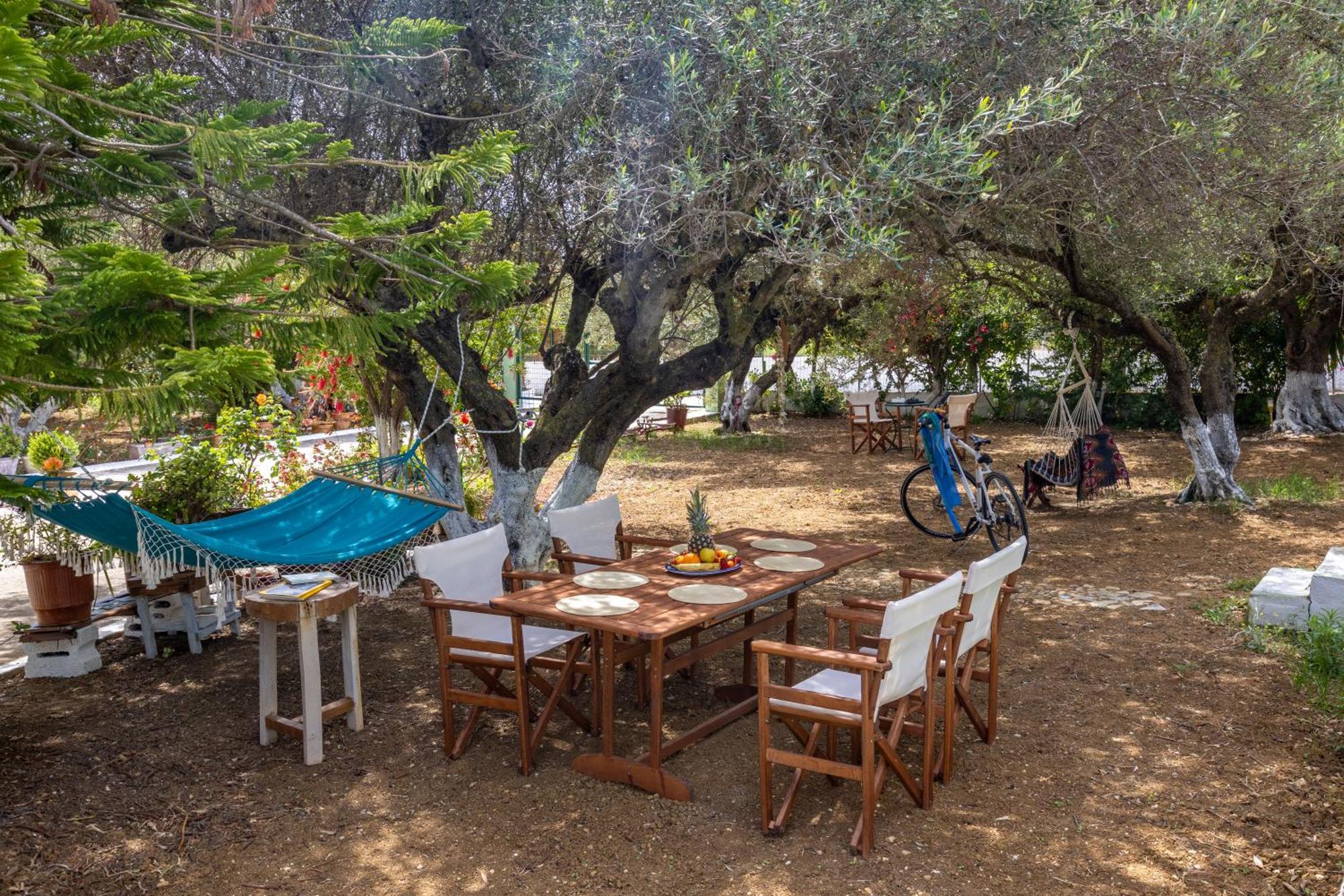 הוילה ליקסורי Sea & Olives House מראה חיצוני תמונה